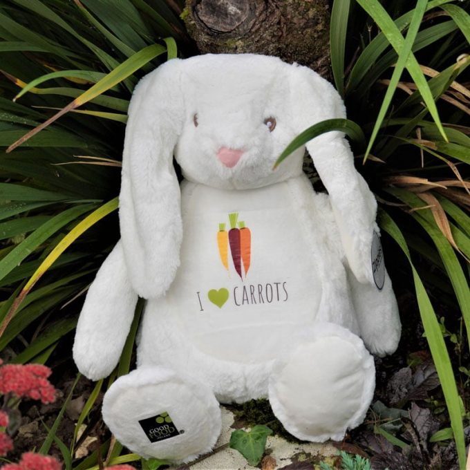 I Love Carrots Bunny