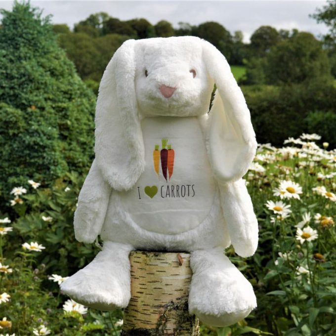 I Love Carrots Bunny