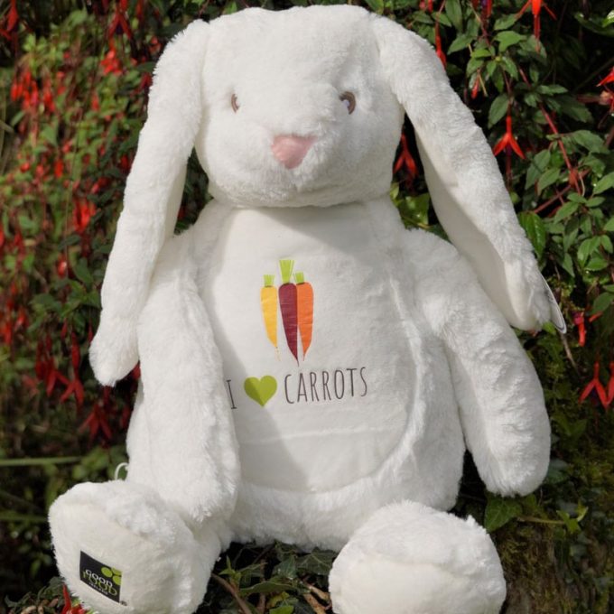 I Love Carrots Bunny