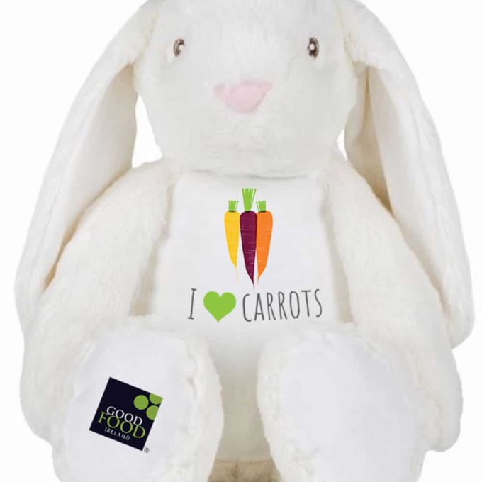 I Love Carrots Bunny & Bib Set