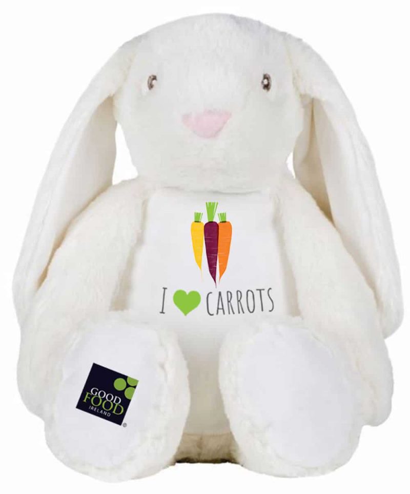 I love Carrots Bunny