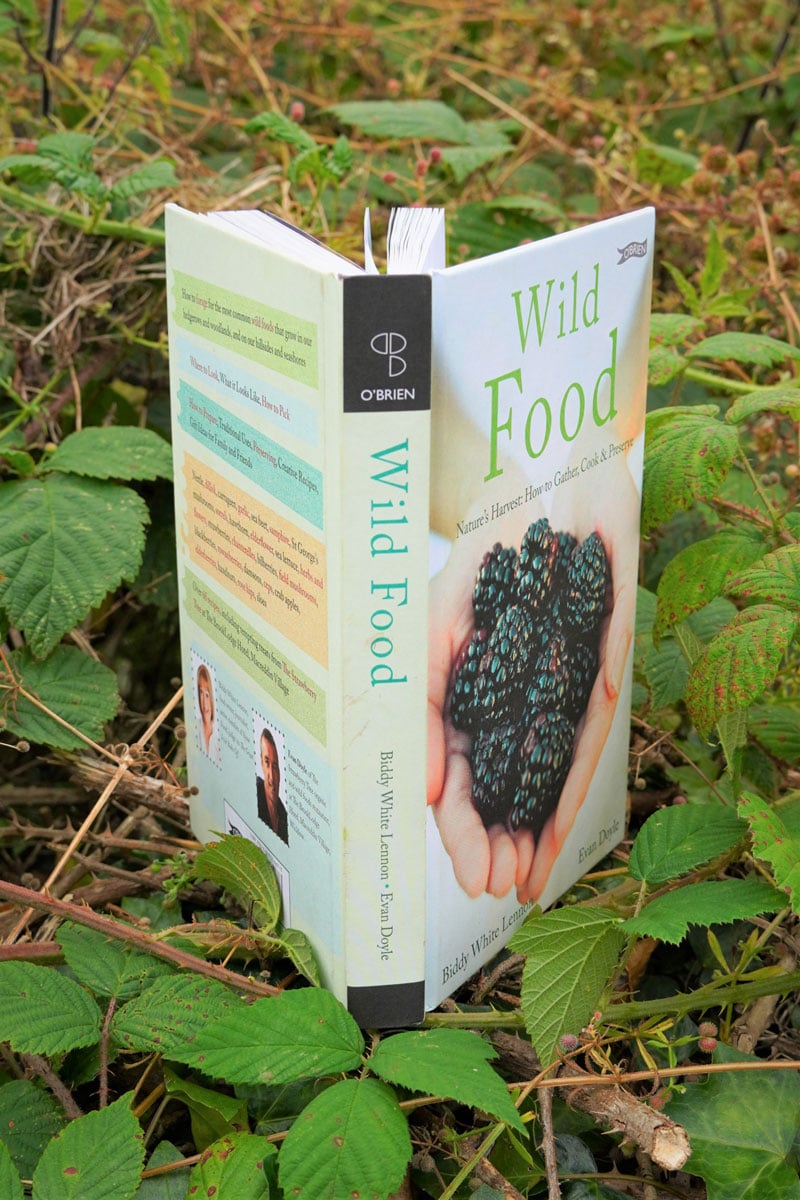 Wild Food Book