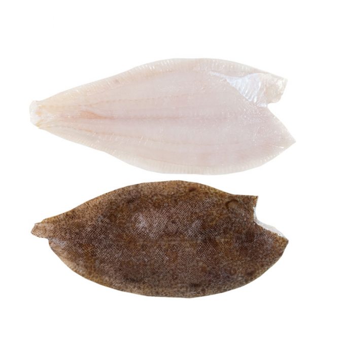 Atlantis Seafood Fish Of The Ocean Box