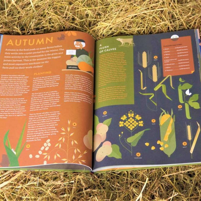 The Great Irish Farm Book by Darragh McCullough