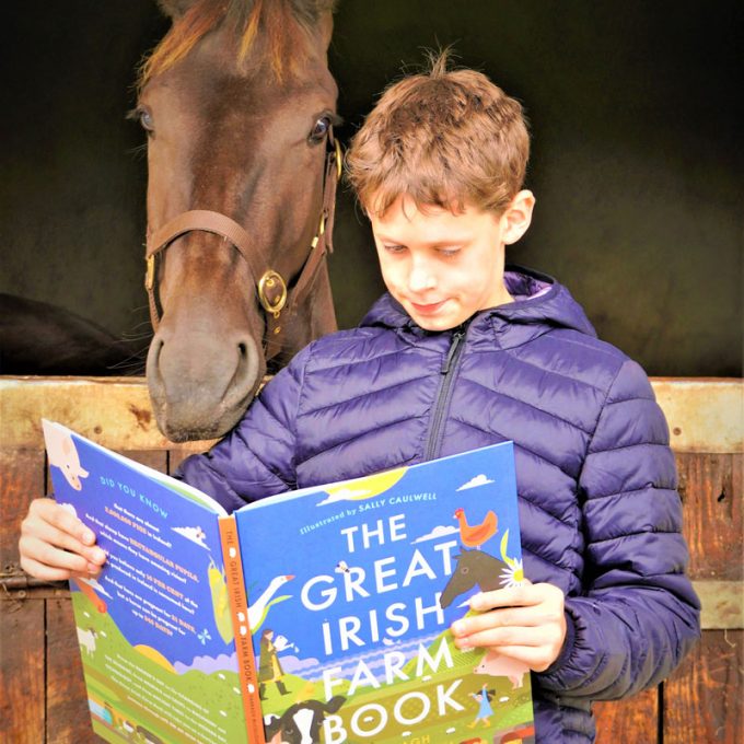 The Great Irish Farm Book by Darragh McCullough