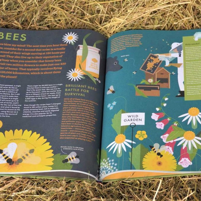 The Great Irish Farm Book by Darragh McCullough