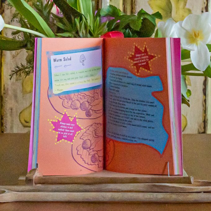 Alice and Megan’s Cookbook by Judi Curtin