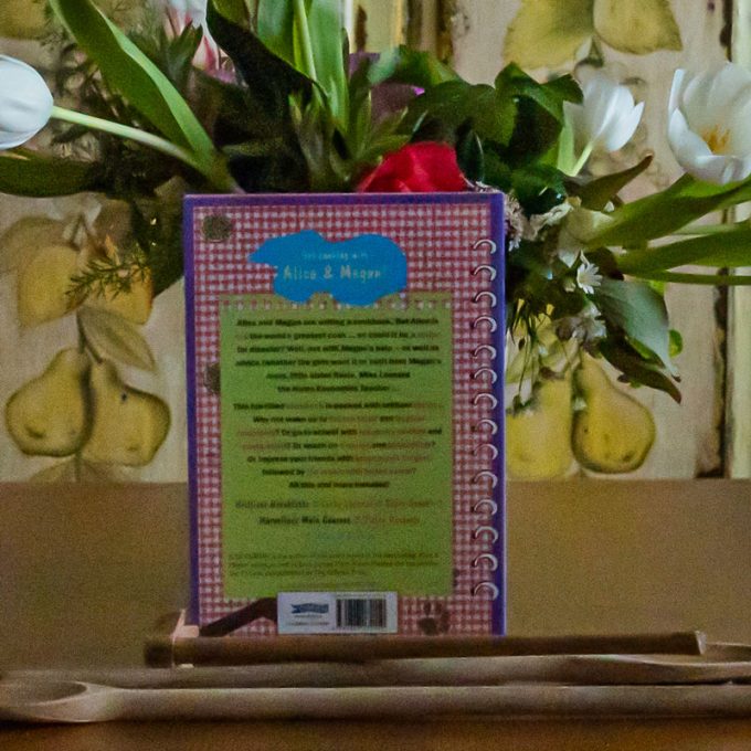 Alice and Megan’s Cookbook by Judi Curtin