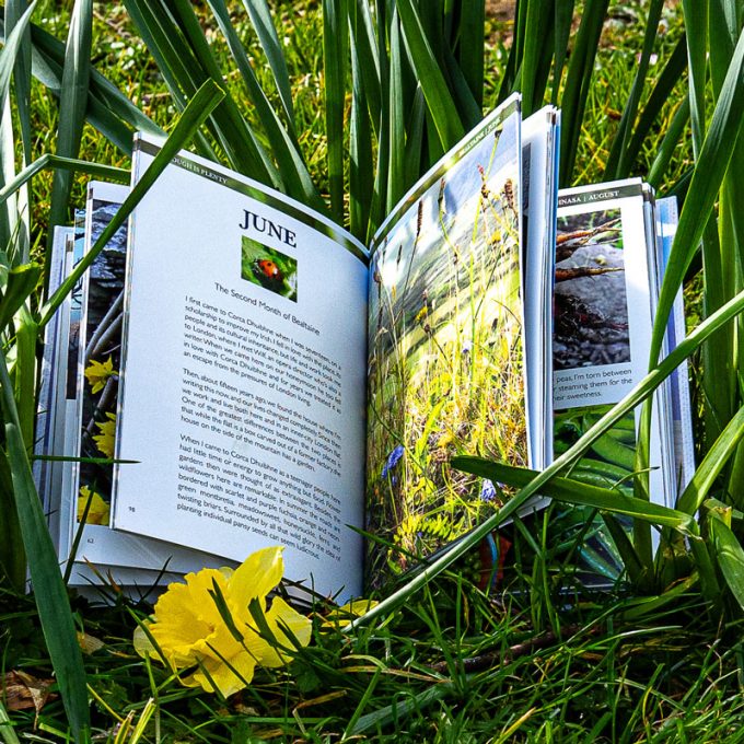 Enough is Plenty by Felicity Hayes-McCoy