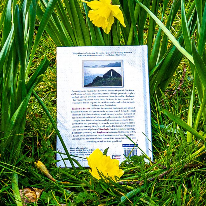 Enough is Plenty by Felicity Hayes-McCoy