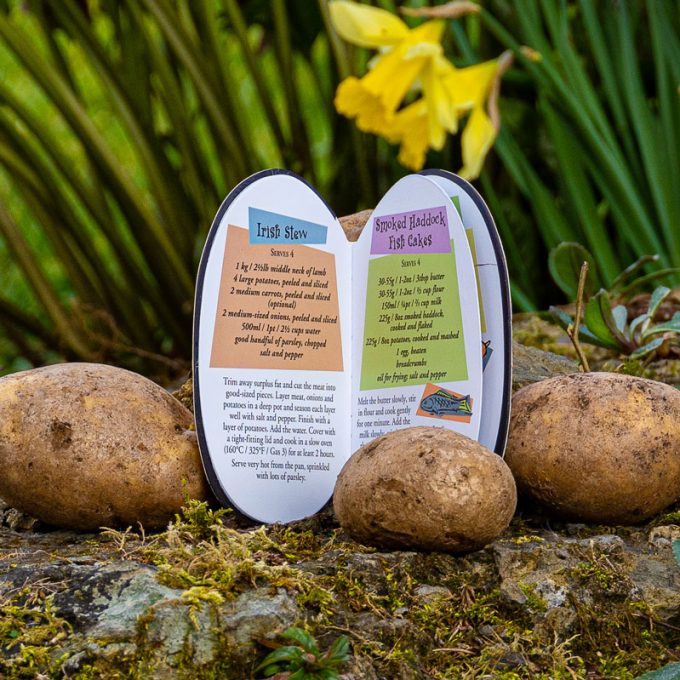 Irish Potato Magnetic Cookbook