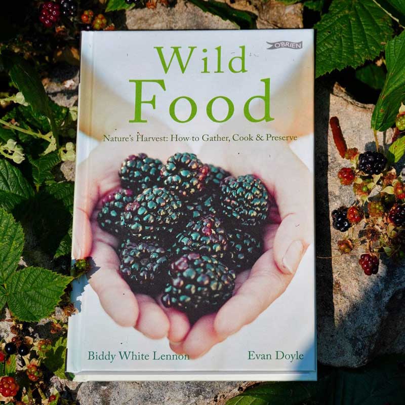 Wild Food by Evan Doyle