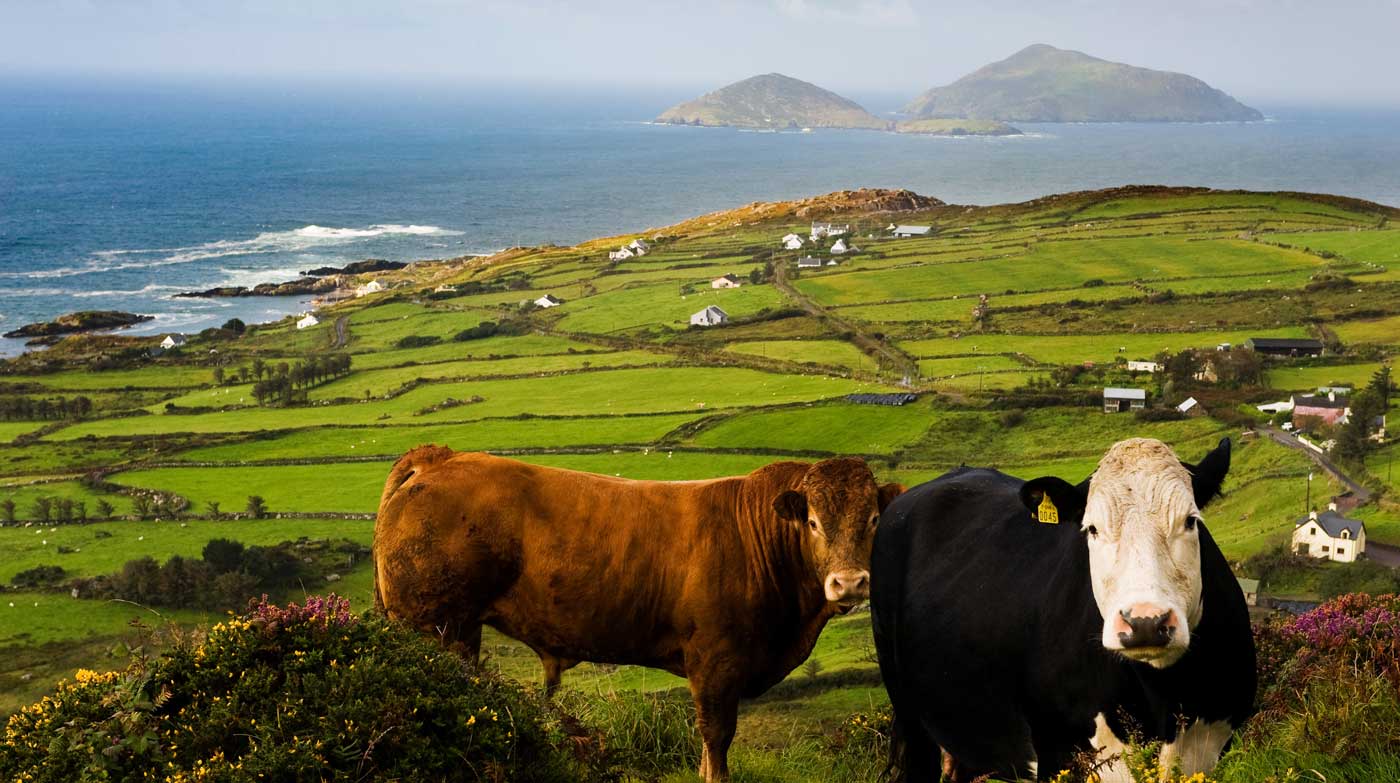 Good Food Ireland® Tours, Ring of Kerry, Co. Kerry, Wild Atlantic Way