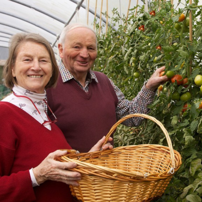 Crossogue Preserves Festive Gift Box - Large