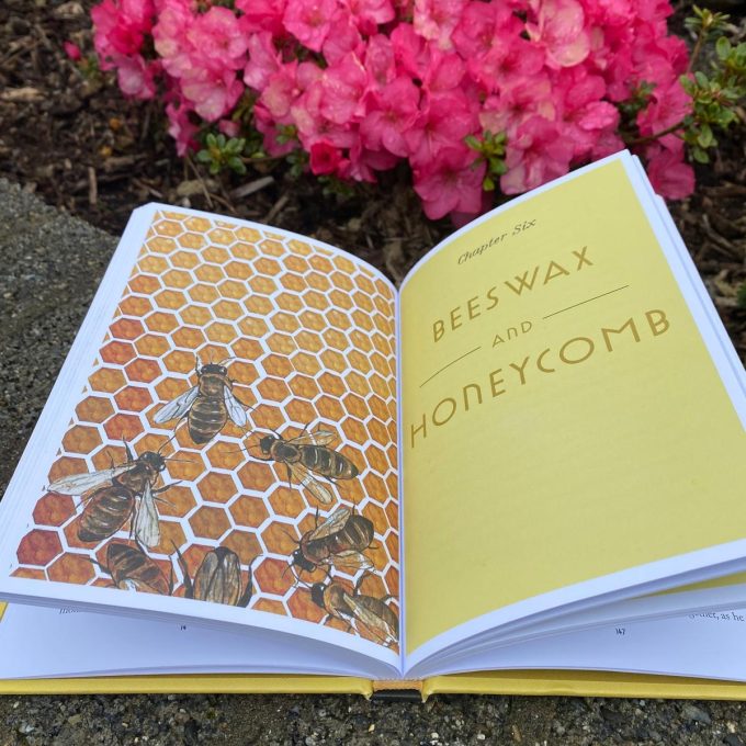 The Keeper of the Bees By Eimear Chaomhánach